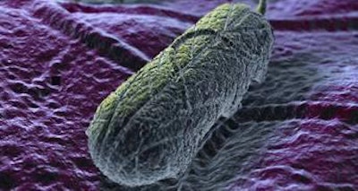 We are what we eat but are microbes also indicative of where weâ€™ve been?