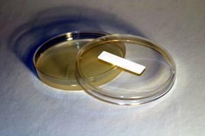 The study showed differing times of entry and persistence of Salmonella and Campylobacter in commercial turkey brooder houses.