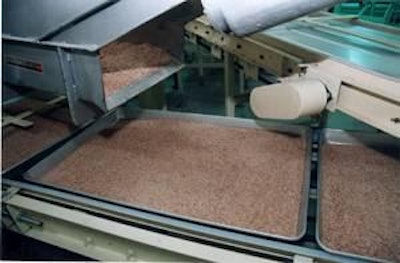 Algunas enzimas se producen mediante el proceso koji de fermentación sólida. Foto cortesía de Alltech