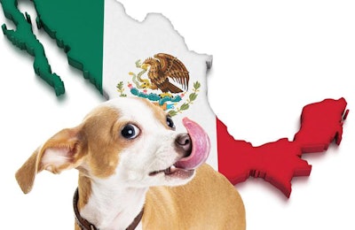 (Susan Schmitz.Fotolia.com and corund.Fotolia.com)