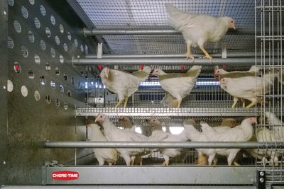 Chore-Time Volito Volution Rearing System