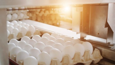 Egg Industry magazine's survey of U.S. egg producers has become the benchmark for the size of table egg producers in the U.S. (Chaser223 | BigStock.com)