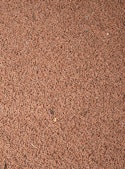 cattle-feed-pellets-bkgrnd