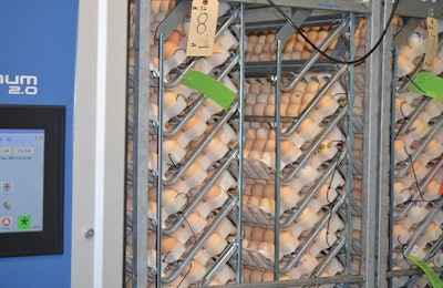 The hatchery uses Jamesway Platinum incubators and hatchers. (Photo by Roy Graber)
