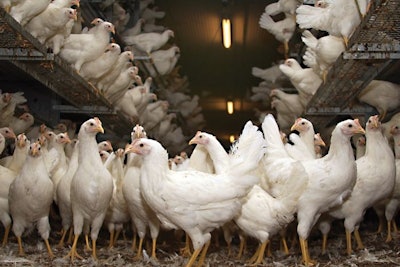 Biosecurity practices will become increasingly important this spring. (Ginasanders | Dreamstime.com)