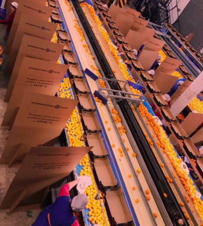International Paper Space Divider corrugated separators