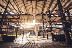 People Wearing Personal Protective Equipment Or Ppe With Sprayin