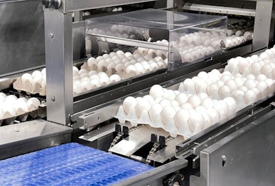 (Courtesy Willamette Egg Farms)