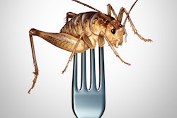 Eating Insects