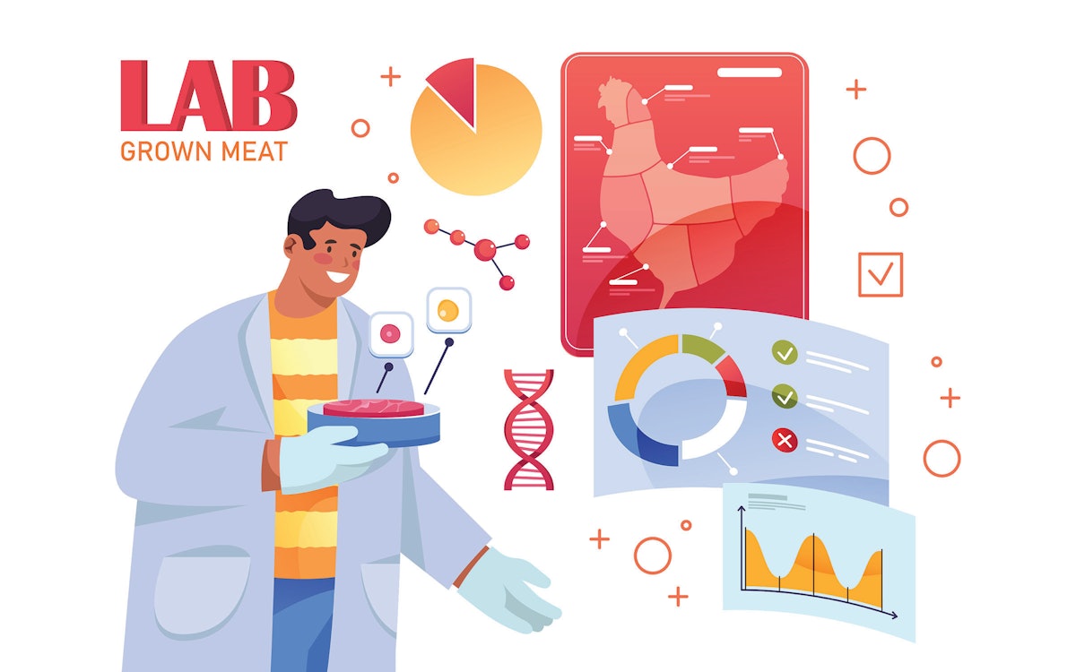 Labgrown meat 101 The ingredients and how it’s made Feed Mill of