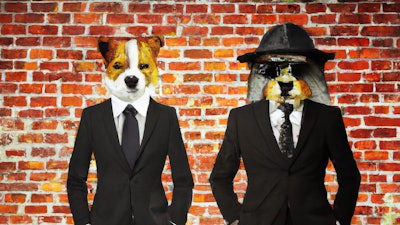 Dall·e 2024 03 15 09 26 39 Spraypainted Mural Of Dog And Cat In Business Suits On Urban Brick Wall