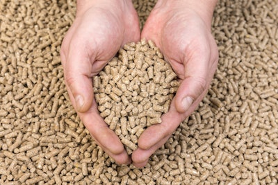 Feed Pellets In Hand