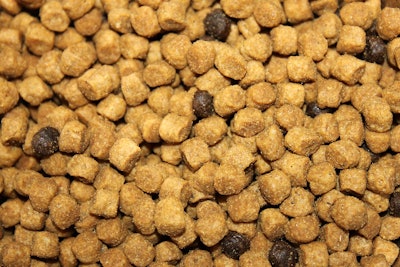 Cat Kibble Close Up Andrea Gantz